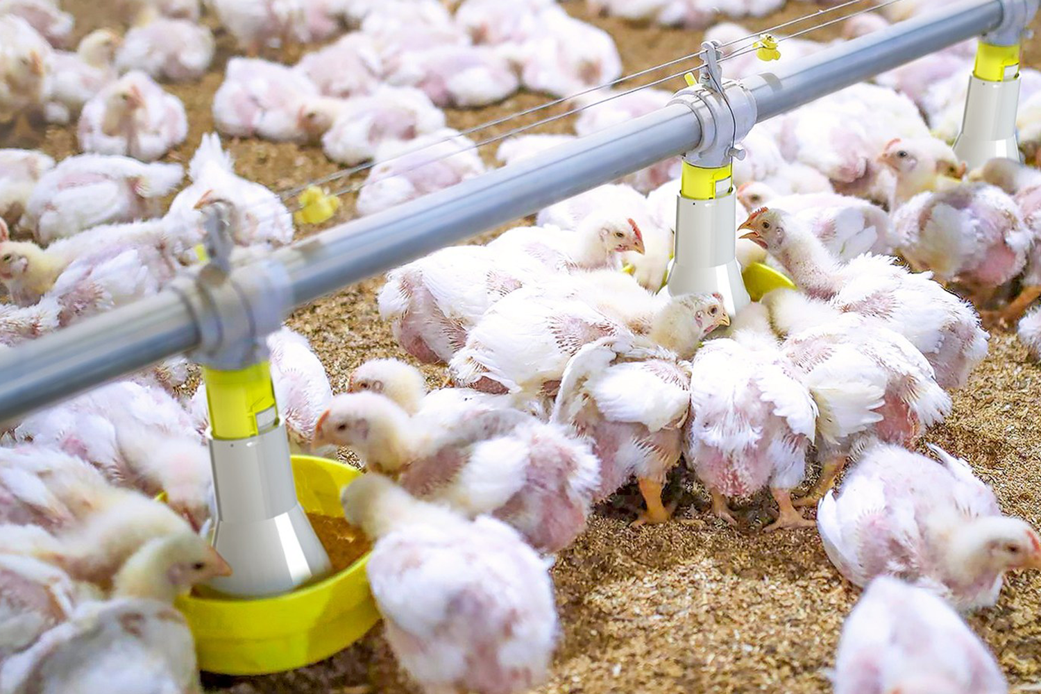 anasayfa hakkimizda3